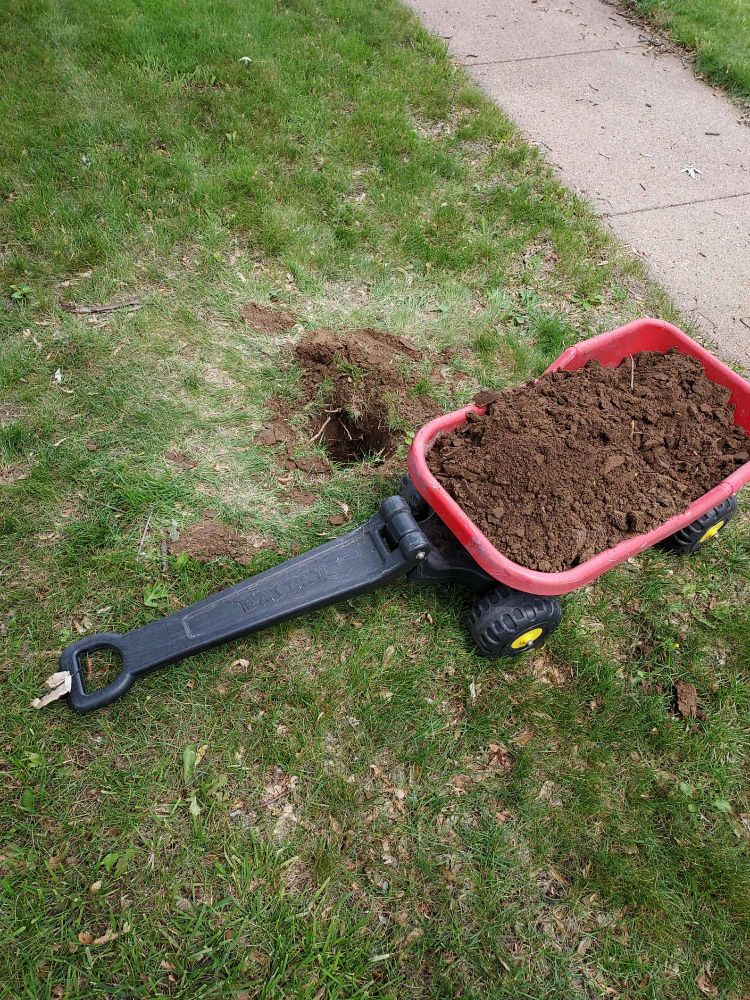 The sidewalk along the top right of the pic gives away the location of the hole, with the wagon full of dirt showing how deep it went.