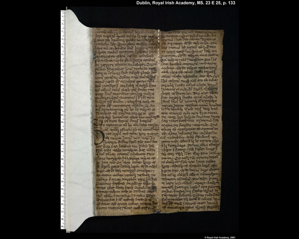 RIA MS 23 E 25 p. 133 (beginning of a story involving Mongán and the poet Forgoll)