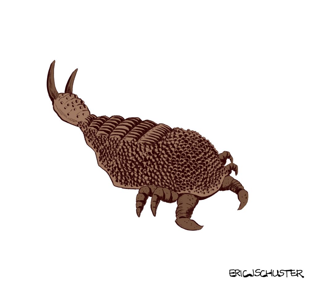 a drawing of a mutated sea louse