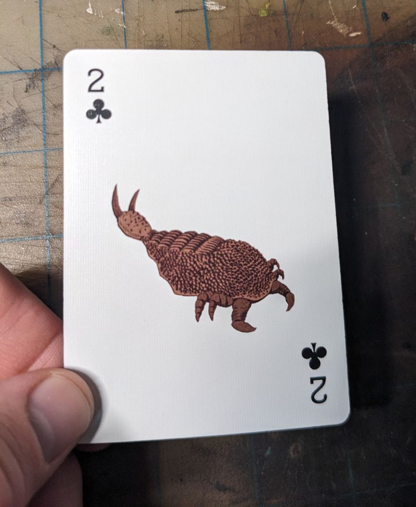 the previous drawing printed on a 2 of clubs playing card