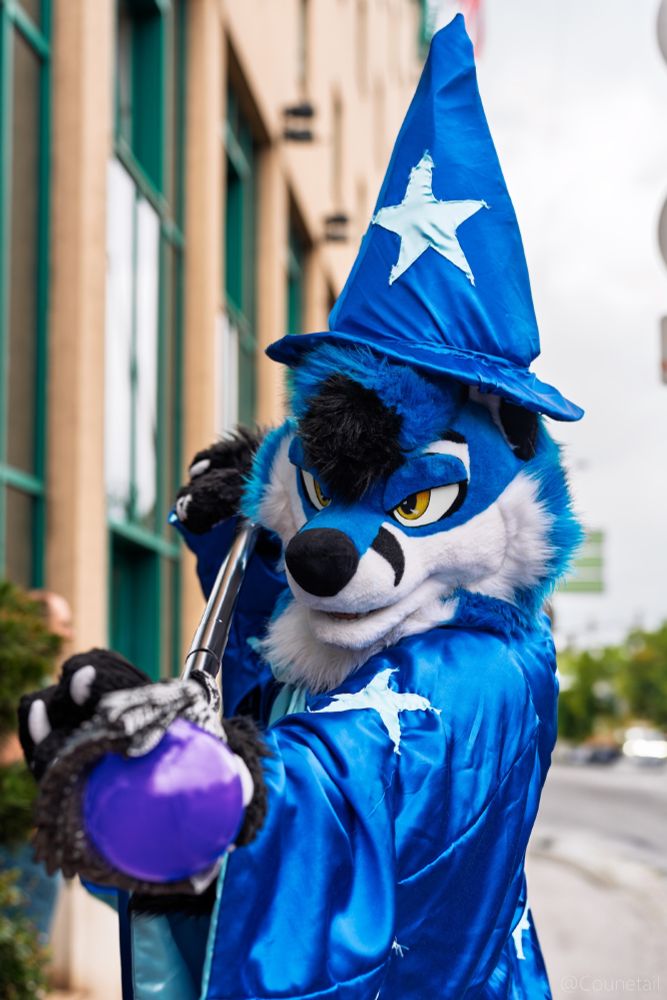 Along pavement outdoors near hotel: Blujay wearing wizard cloak and hat, pointing a staff with a purple orb at the viewer. Photo by Coontail