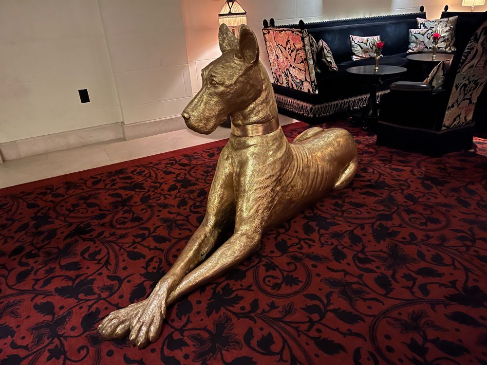 Large golden dog in repose on dark red carpet with black floral motif