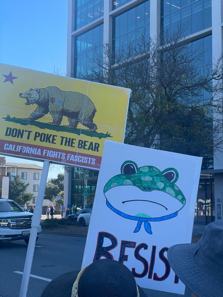 Two signs: Don’t poke the bear; a frog with “Resist”