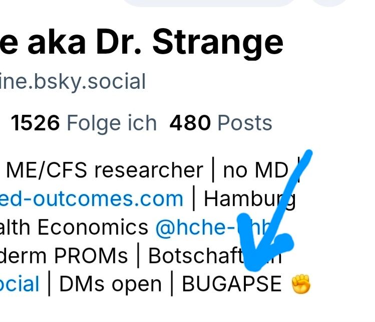 Mein Profiltext, jetzt mit "BUGAPSE" und geballter Faust