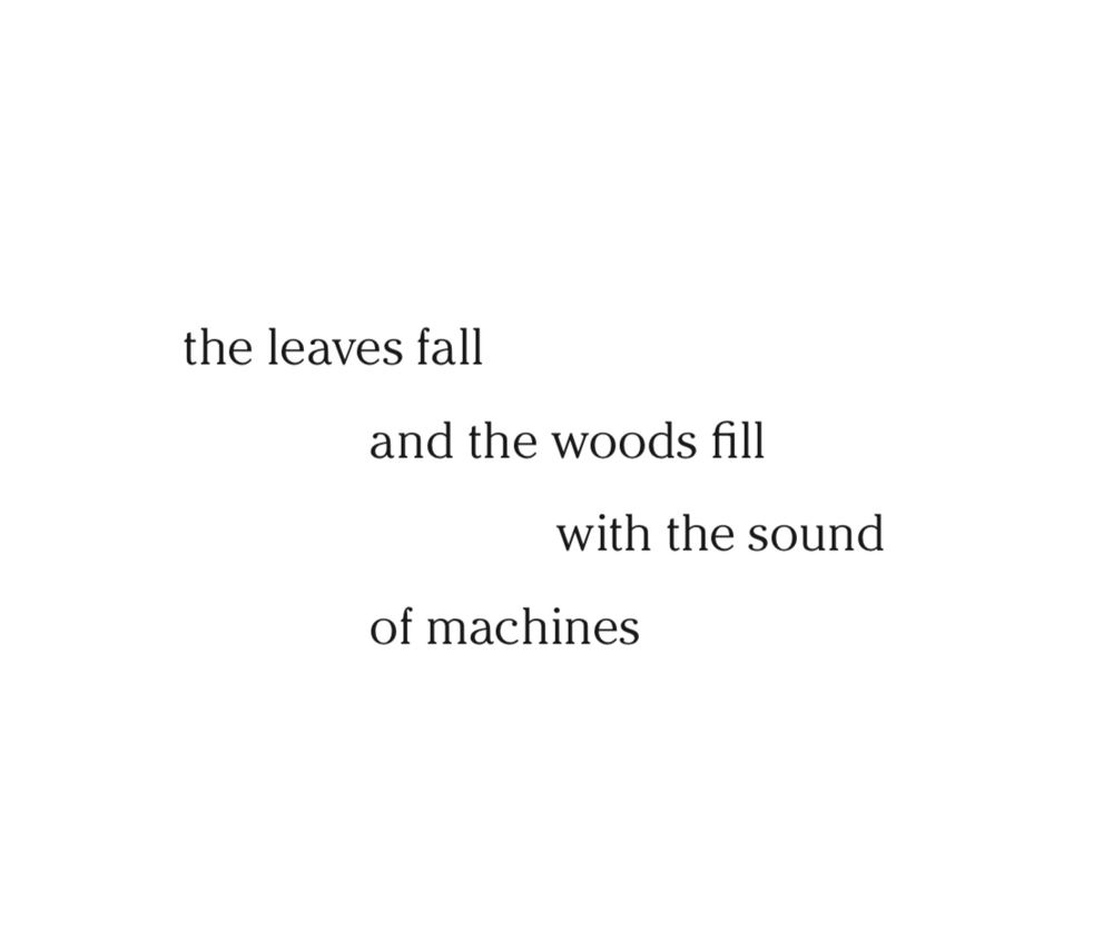 the leaves fall
and the woods fill
with the sound
of machines