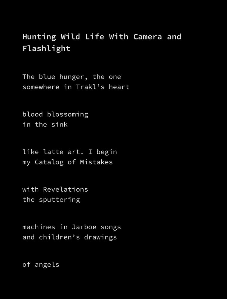 Hunting Wild Life With Camera and Flashlight

The blue hunger, the one
somewhere in Trakl’s heart

blood blossoming
in the sink

like latte art. I begin
my Catalog of Mistakes

with Revelations
the sputtering

machines in Jarboe songs
and children’s drawings

of angels