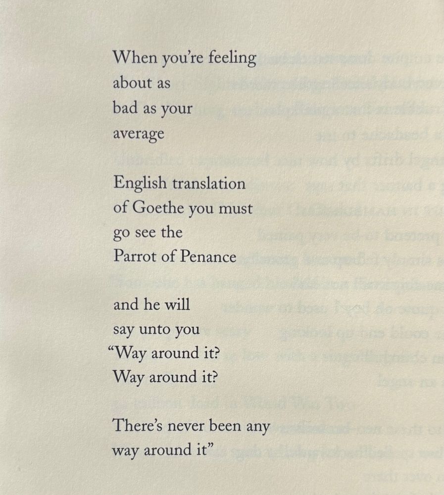 When you’re feeling
about as
bad as your
average

English translation
of Goethe you must
go see the
Parrot of Penance

and he will
say unto you
“Way around it?
Way around it?

There’s never been any
way around it”