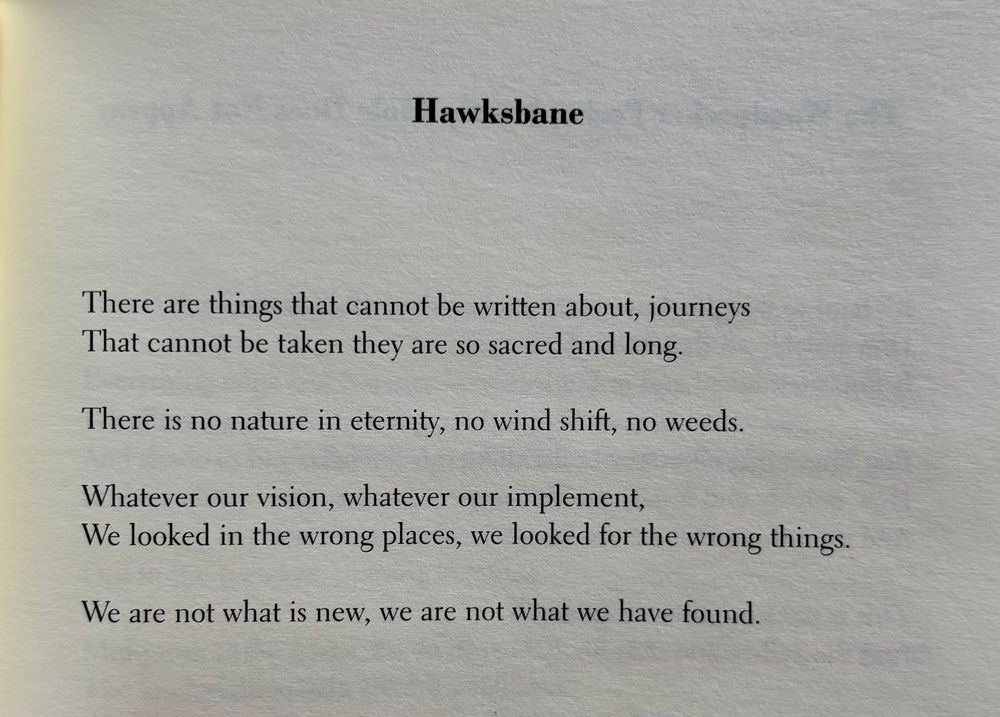 Hawksbane


There are things that cannot be written about, journeys
That cannot be taken they are so sacred and long.

There is no nature in eternity, no wind shift, no weeds.

Whatever our vision, whatever our implement,
We looked in the wrong places, we looked for the wrong things.

We are not what is new, we are not what we have found.