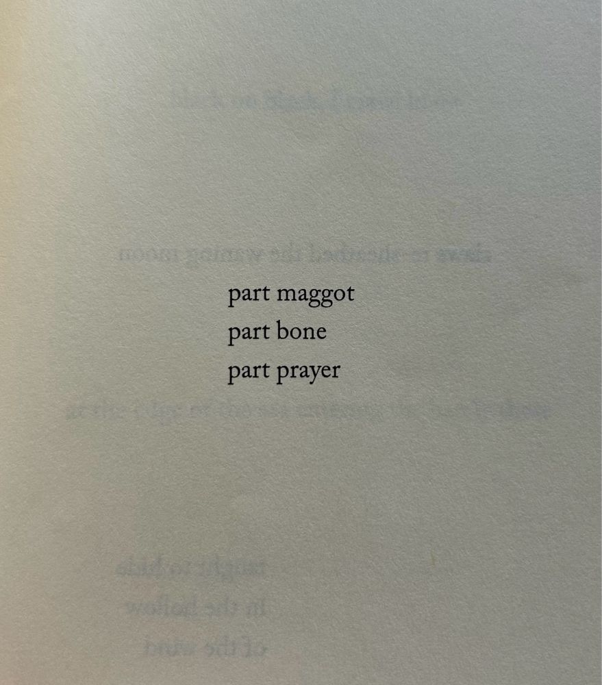 part maggot
part bone
part prayer