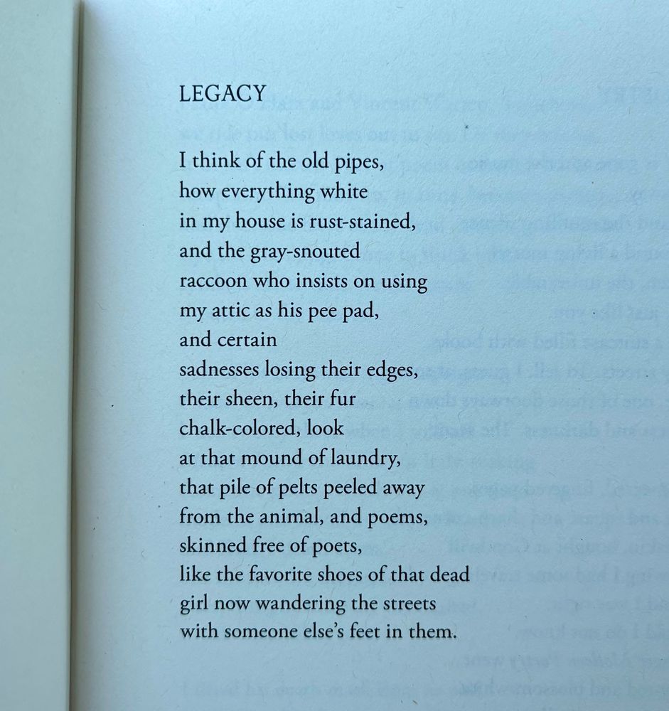 LEGACY

I think of the old pipes,
how everything white
in my house is rust-stained,
and the gray-snouted
raccoon who insists on using
my attic as his pee pad,
and certain
sadnesses losing their edges,
their sheen, their fur
chalk-colored, look
at that mound of laundry,
that pile of pelts peeled away
from the animal, and poems,
skinned free of poets,
like the favorite shoes of that dead
girl now wandering the streets
with someone else’s feet in them.
