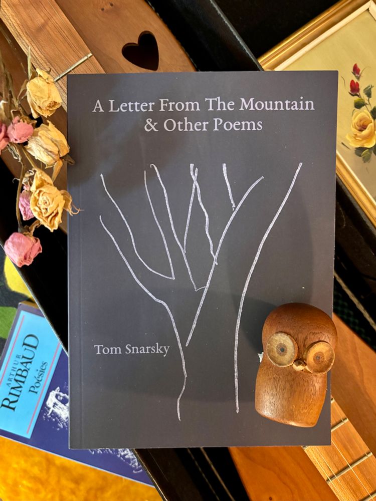 A picture of A Letter From The Mountain & Other Poems on top of a mountain dulcimer in an open case. Around it are a small flower painting, a copy of Rimbaud’s Poésies, some dried roses, and a little wooden owl, who knows more than he lets on.