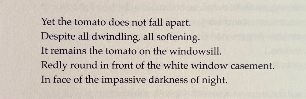 Yet the tomato does not fall apart.
Despite all dwindling, all softening.
It remains the tomato on the windowsill.
Redly round in front of the white window casement.
In face of the impassive darkness of night.