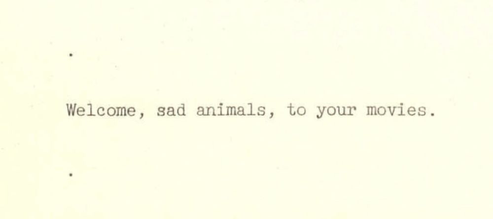 Welcome, sad animals, to your movies.