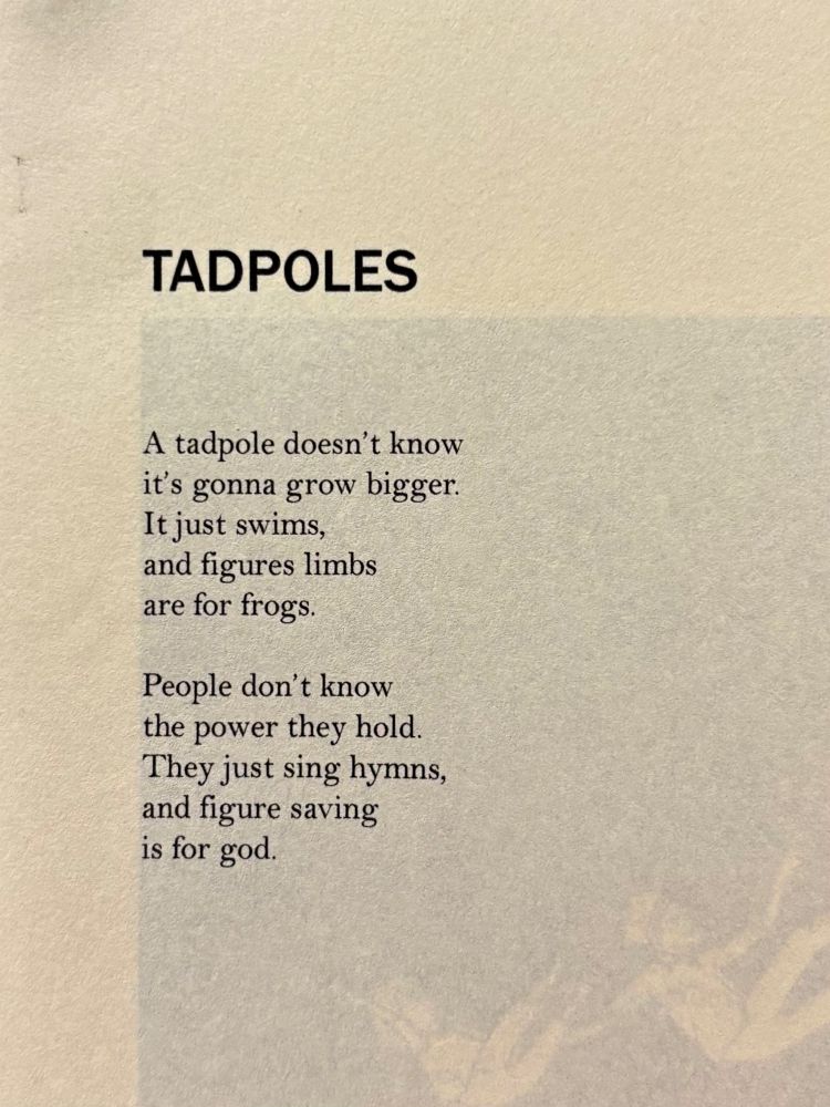 TADPOLES


A tadpole doesn’t know
it’s gonna grow bigger.
It just swims,
and figures limbs
are for frogs.

People don’t know
the power they hold.
They just sing hymns,
and figure saving
is for god.