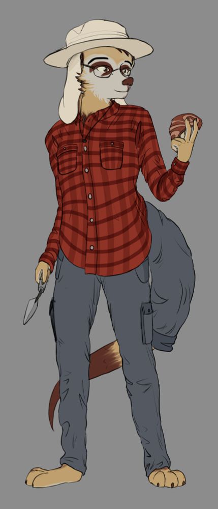 Anthro meerkat in a plaid shirt and hat