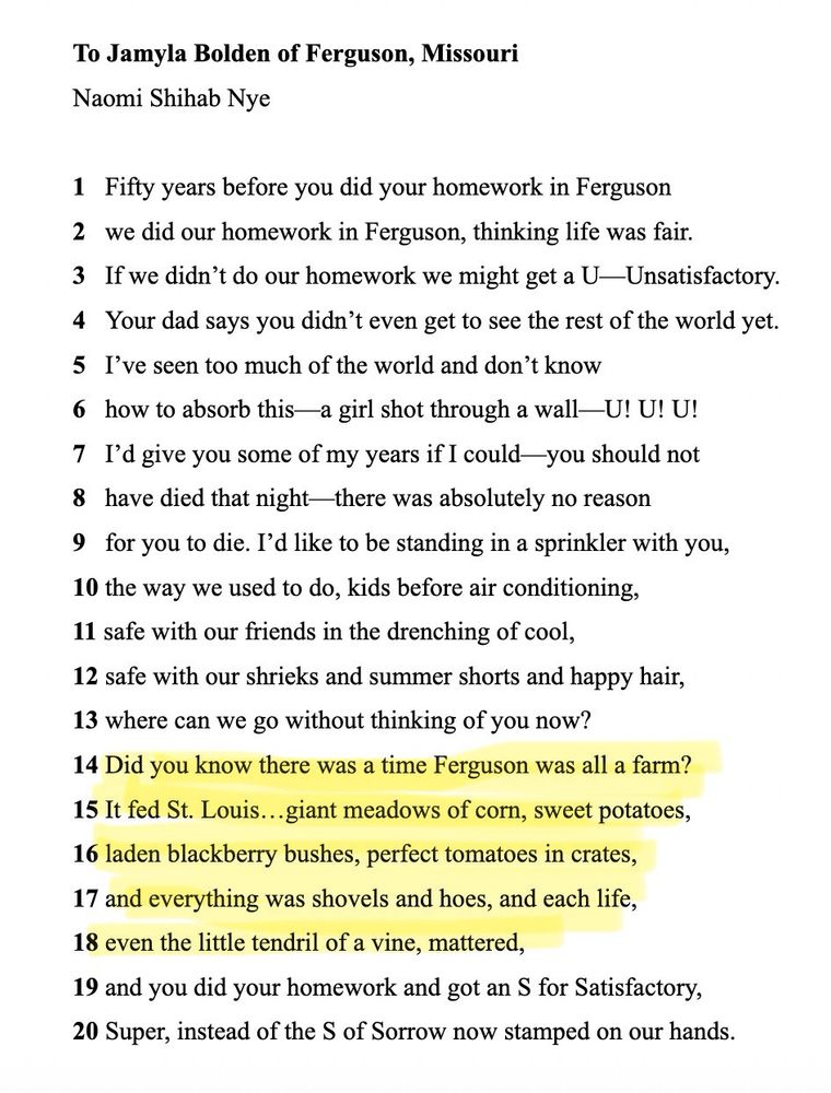 To Jamyla Bolden of Ferguson, Missouri
Naomi Shihab Nye
1 Fifty years before you did your homework in Ferguson
2 we did our homework in Ferguson, thinking life was fair.
3 If we didn't do our homework we might get a U— Unsatisfactory.
4 Your dad says you didn't even get to see the rest of the world yet.
5 I've seen too much of the world and don't know
6 how to absorb this-a girl shot through a wall—U! U! U!
7 I'd give you some of my years if I could-you should not
8 have died that night-there was absolutely no reason
9 for you to die. I'd like to be standing in a sprinkler with you,
10 the way we used to do, kids before air conditioning,
11 safe with our friends in the drenching of cool,
12 safe with our shrieks and summer shorts and happy hair,
13 where can we go without thinking of you now?
14 Did you know there was a time Ferguson was all a farm?
15 It fed St. Louis...giant meadows of corn, sweet potatoes, 16 laden blackberry bushes, perfect tomatoes in crates, 17 and everything was shovels and hoes, and each life,
18 even the little tendril of a vine, mattered,
19 and you did your homework and got an S for Satisfactory,
20 Super, instead of the S of Sorrow now stamped on our hands.
Lines 14-18 highlighted
