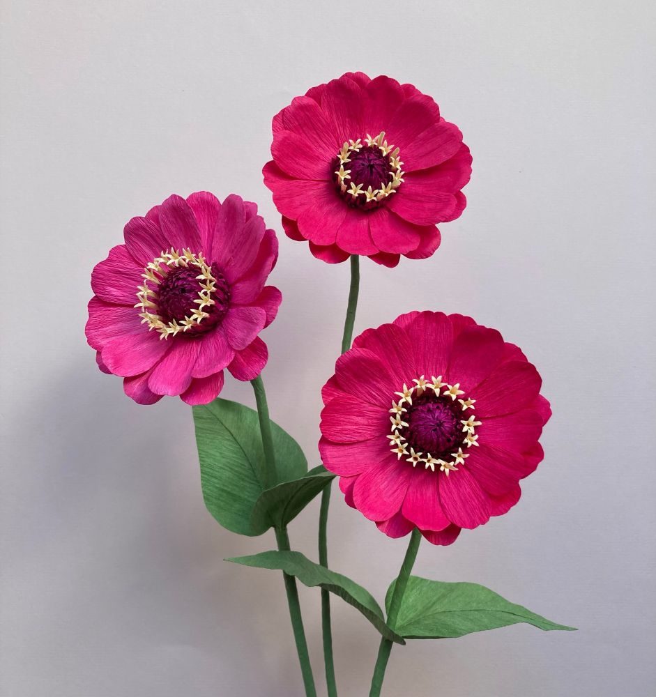3 zinnias in pink/red