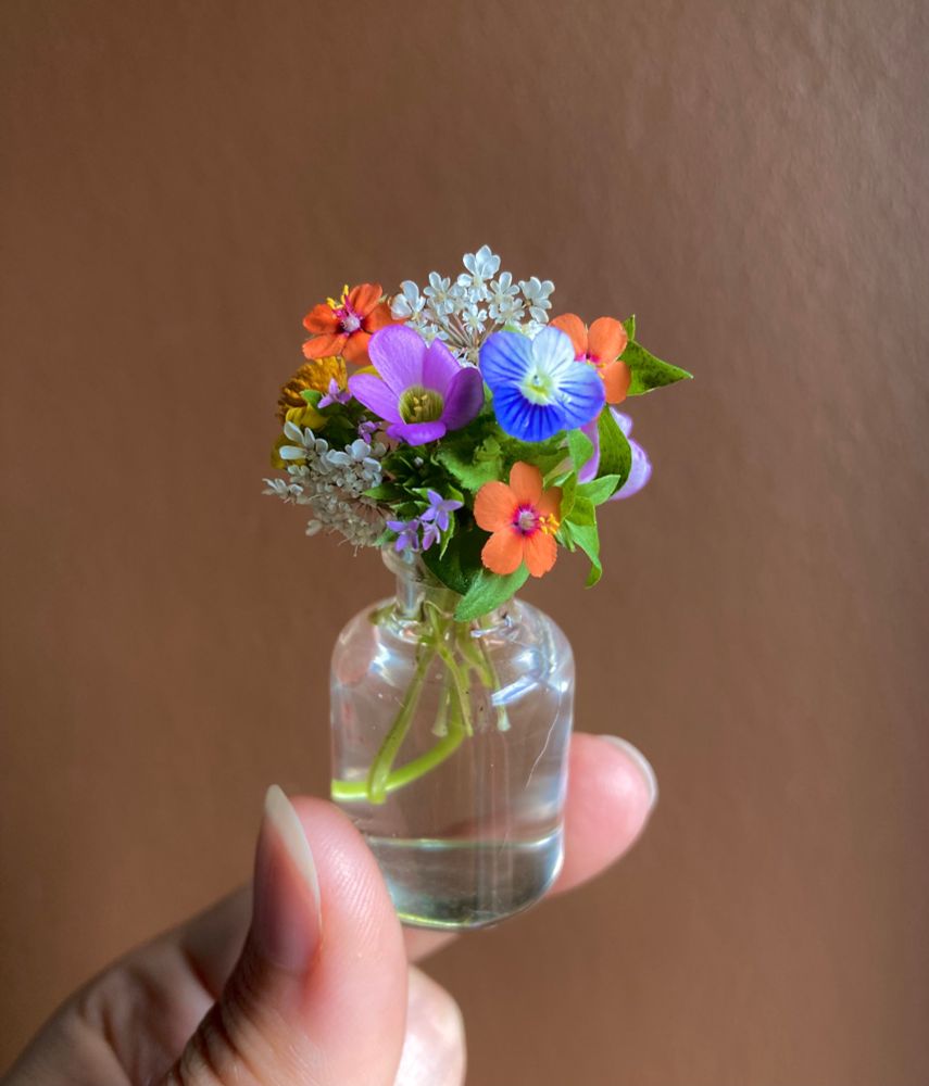 Mini bouquet dans une fiole en verre que je tiens entre mes doigts. Il est composé de mouron des champs, de carotte sauvage, d’oxalis, de véronique et d’autres petites fleurs.