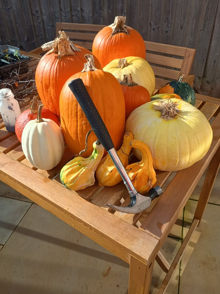 Photo of pumpkins and a hammer on a garden table 