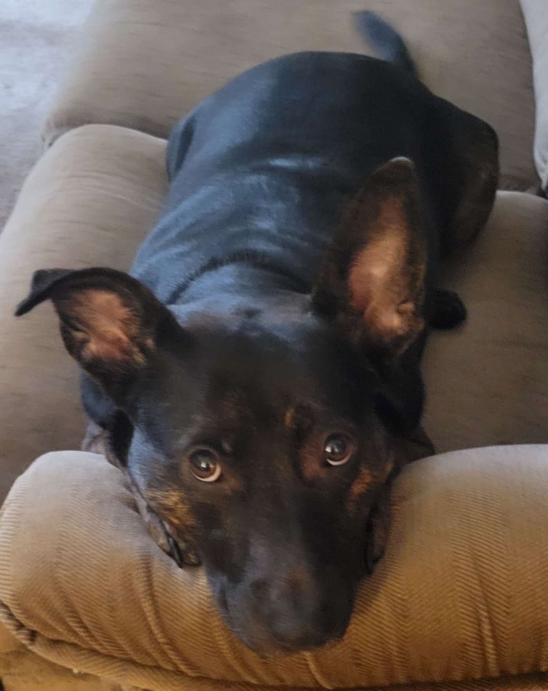 Picture of my babygirl Aria