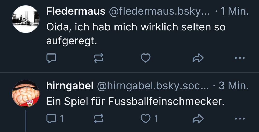 Ein Screenshot zweier Postings: 
@Fledermaus „Oida, ich hab mich wirklich selten so aufgeregt“ 
@hirngabel „Ein Spiel für Fussballfeinschmecker“