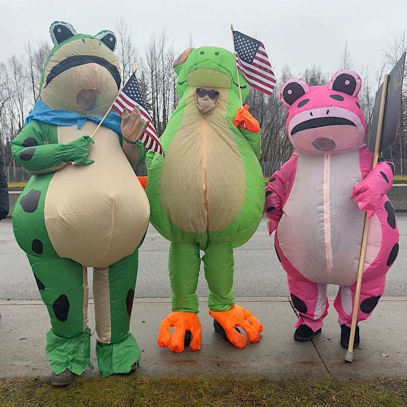Three people in inflatable frog suits. From left to right: a dark green frog with black spots and a blue bandana, a light green tree frog with bright orange feet & hands, a pink frog with black spots.