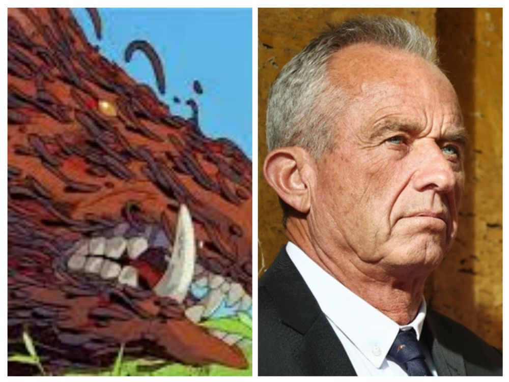 Left side: Nago from Princess Mononoke Right side: an infected and toxic bore 
