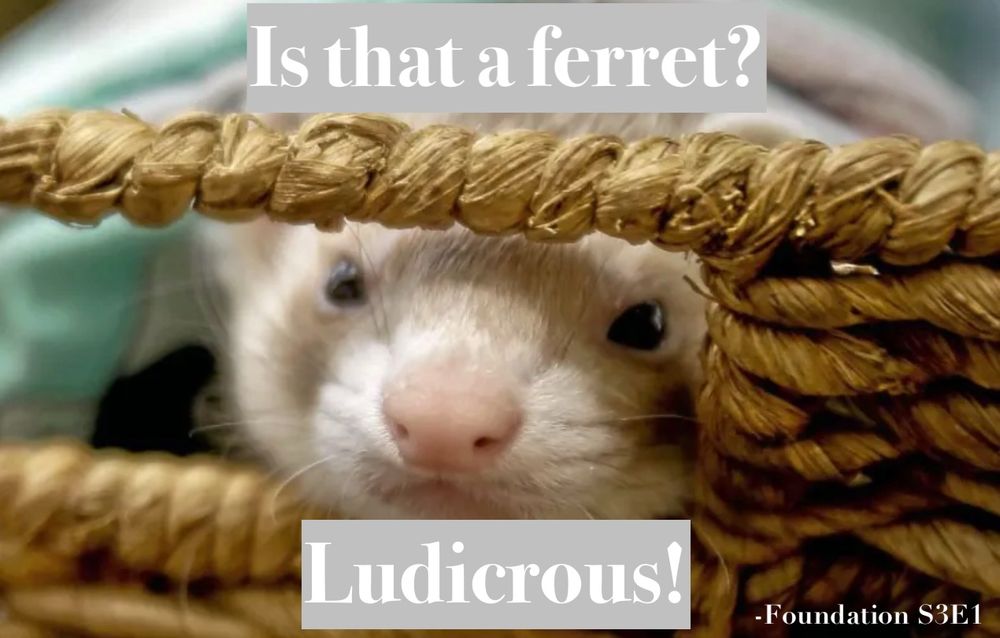 A  picture of a ferret, and a line of dialogue from the excellent SF show *Foundation*: "Is that a ferret? Ludicrous!" Small "Foundation S2E1" label on the side. 