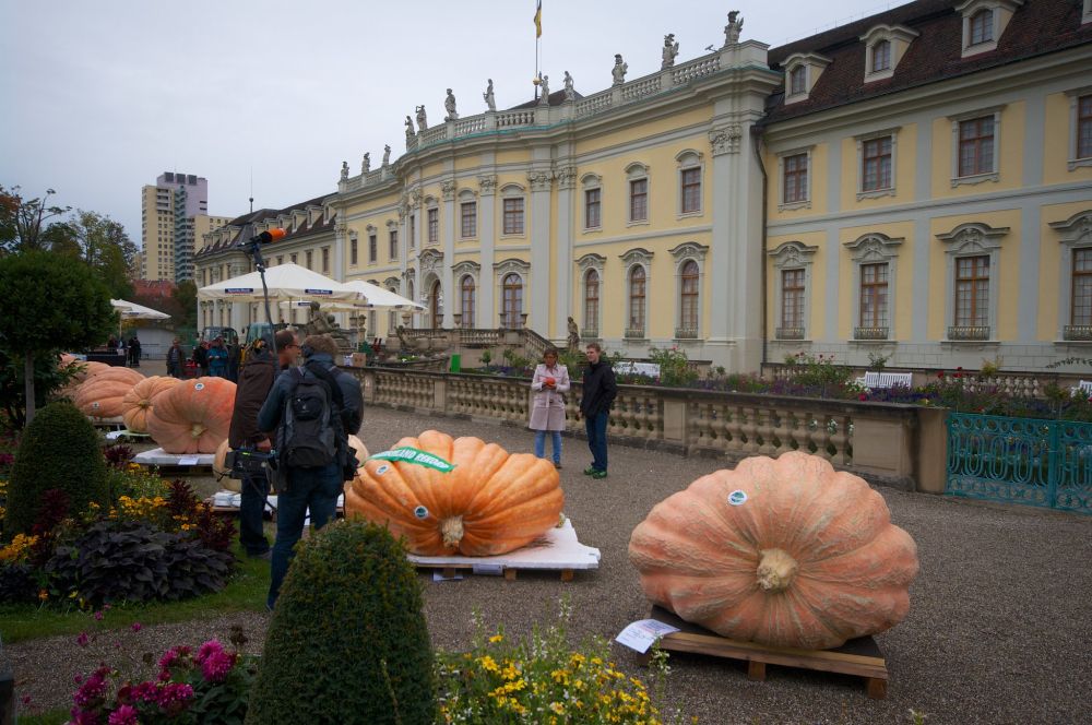Mehrere sehr große Kürbisse auf Paletten vor dem barocken Schloß Ludwigsburg, Menschen und ein TV-Team mit Kamera und Mikrofon im Freien.