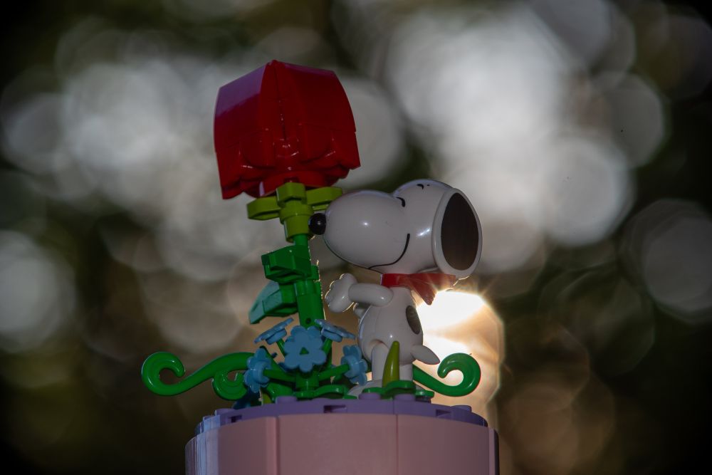 Eine Figur aus Steckbausteinen, eine Rose und der Hund Snoopy. Der Hintergrund ist ein Bokeh aus Lichtkreisen.