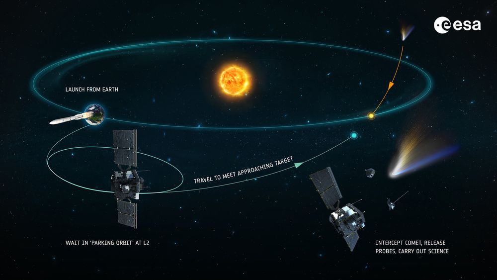 Graphic of the Comet Interceptor mission.

ESA’s Comet Interceptor will be the first mission to visit a comet coming directly from the outer reaches of the Sun's realm, carrying material untouched since the dawn of the Solar System.

Such objects are difficult to get close to because we can only detect them when they fly near the Sun, leaving little time to plan and launch a mission. That’s why, after launch, Comet Interceptor will first be 'parked' in space. While waiting, the spacecraft will orbit around the Sun-Earth Lagrange point L2, a stable gravitational point located 1.5 million kilometres directly 'behind' the Earth as viewed from the Sun.

When a suitable pristine comet is detected by Earth-based telescopes, Comet Interceptor will travel to meet it. Once at the intercept location, the main spacecraft will release two probes to observe the comet from multiple directions at the same time.

Comet Interceptor is an ESA-led mission in collaboration with JAXA.

CREDIT: ESA