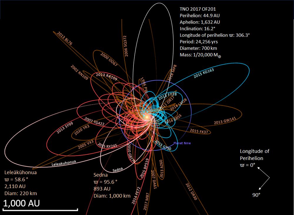 Plan view of orbits of 96 of 109 known distant minor planets and extreme trans-Neptunian objects (eTNOs) with aphelion distances Q > 200 AU as of January 2021 (JD 2459215.5).

Orbits are from JPL's Small Body Database based on the epoch 31 May 2020 (JD 2459000.5). The remaining 13 minor planets are excluded from this diagram as their orbits are too uncertain, having uncertainty parameters U > 7.

Orbits colored red are eTNOs with longitudes of pericenter aligned with the hypothetical Planet Nine while those colored blue are eTNOs anti-aligned with Planet Nine. Orbits colored pink are the three known sednoids (Sedna, 2012 VP113, Leleakuhonua) and orbits colored brown are scattered centaurs and damocloids with perihelion distances within Neptune's orbit (q < 29.9). For comparison, the predicted orbit of Planet Nine (a~500, e~0.25, i~20) is shown and labeled.

Credit: Nrco0e
Source: https://en.wikipedia.org/wiki/Extreme_trans-Neptunian_object

Approx. orbit of 2017 OF201 added by me.