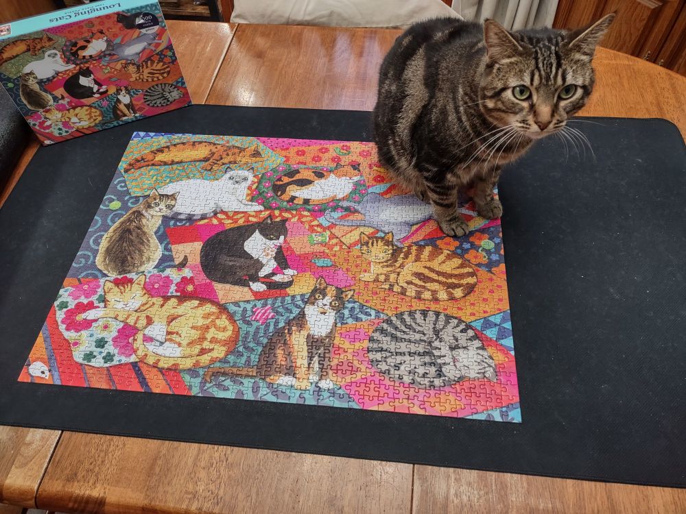 Sir Jerry the tubby tabby cat sits on a completed puzzle of cats