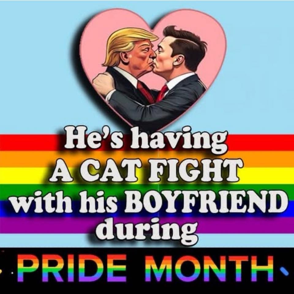 The image features an illustration of two men in suits about to kiss inside a heart. The background includes horizontal rainbow stripes. Below the heart, text reads he is having a cat fight with his boyfriend during pride month. The text consists of different font sizes, with some words larger and more prominent. The overall tone combines humor and satire.