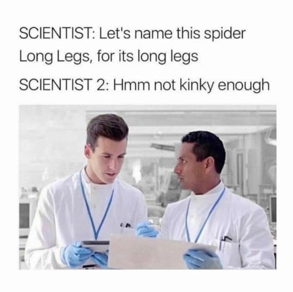 A meme set in a bright lab. Two male scientists in white coats, blue gloves, and lanyards study a tablet and clipboard as if discussing. The caption jokes about naming a spider: one suggests Long Legs, the other says it is not kinky enough, implying the eventual name Daddy Long Legs.
