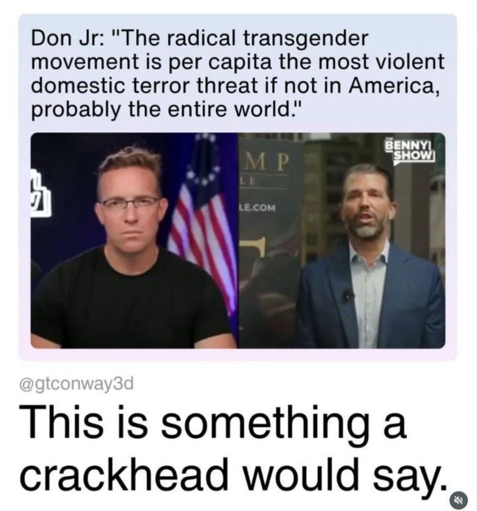 A split screen screenshot from an online show. On the left sits a serious looking man in glasses and a dark t shirt against a backdrop of an American flag. On the right stands a bearded man in a blue suit jacket and light shirt speaking in front of a blurred sign labeled The Benny Show. Above the split image is text attributing a quote to Don Jr claiming the radical transgender movement is the most violent domestic terror threat. Below appears the comment This is something a crackhead would say.