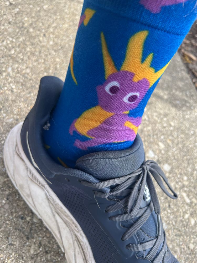 Socks with Spyro on them