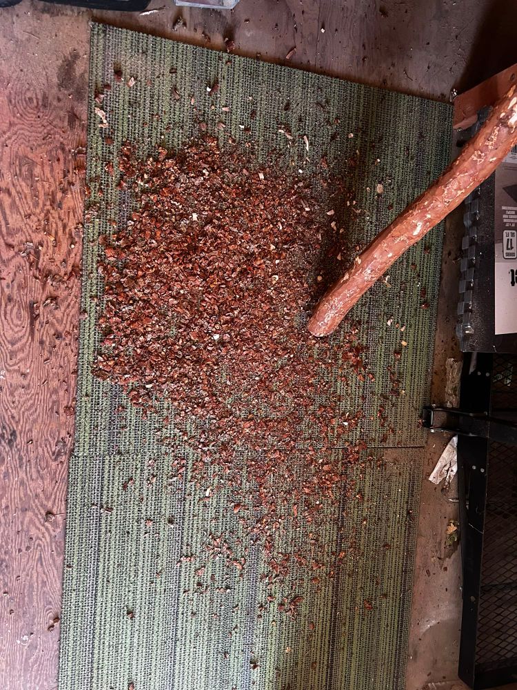 A pile of cedar bark chips on the floor of a garage next to the cedar branch