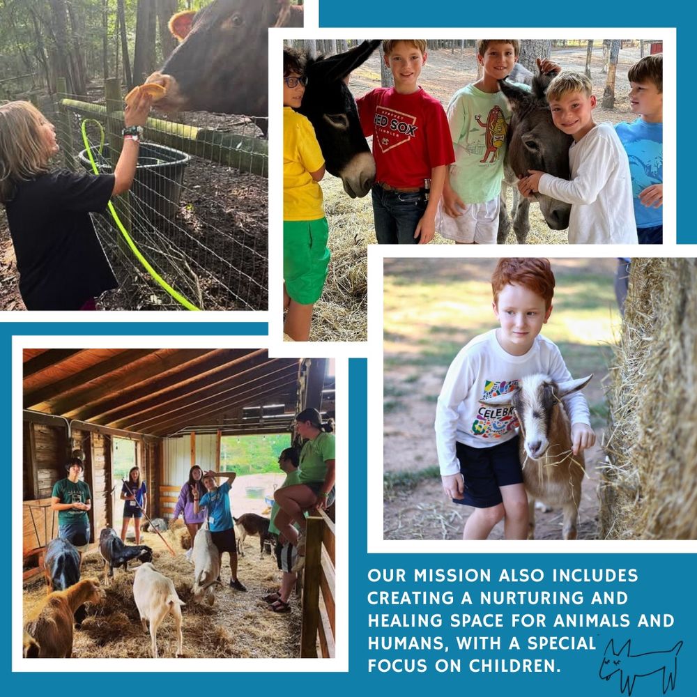 Photos of kids interacting with the animals and doing farm work. At the bottom right corner, text reads: Our mission also includes creating a nurturing and healing space for animals and humans, with a special focus on children. 