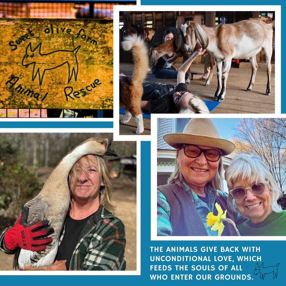 Photos of the farm sign, a goat yoga session, and the farm owners. Text reads: The animals give back with unconditional love, which feeds the souls of all who enter our grounds. 