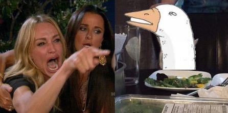 Woman yelling at a goose meme.