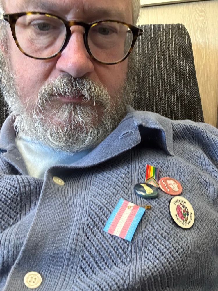 Trans flag lapel 