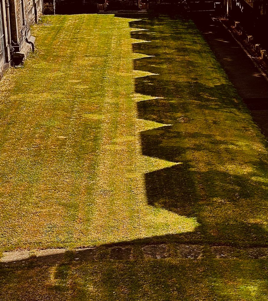 Shadows 