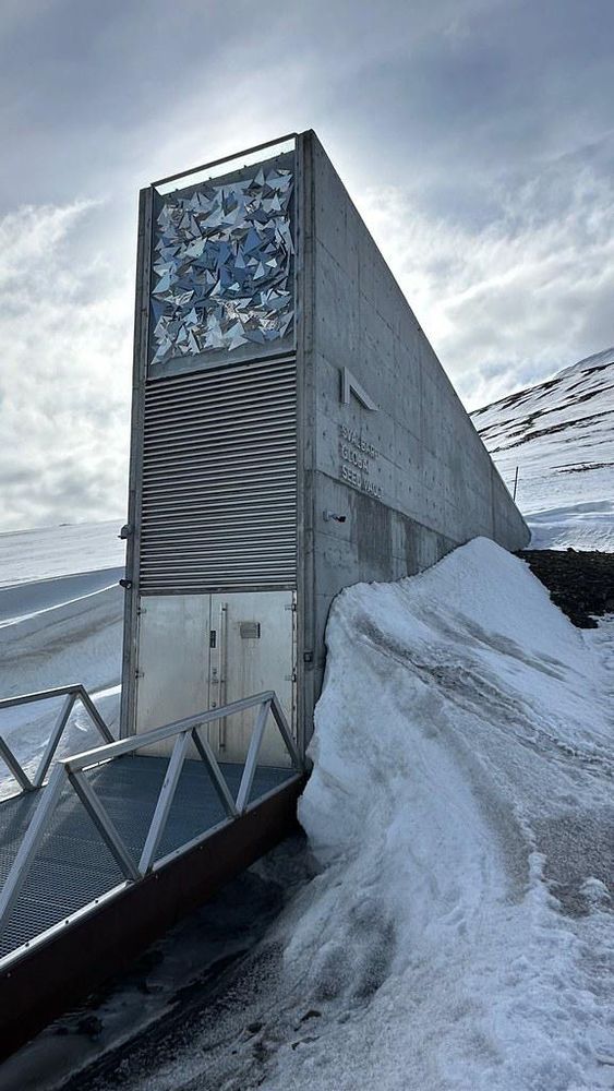 Le Svalbard global seed vault, une banque de toutes les semences du monde sur l’île de Svalbard. 