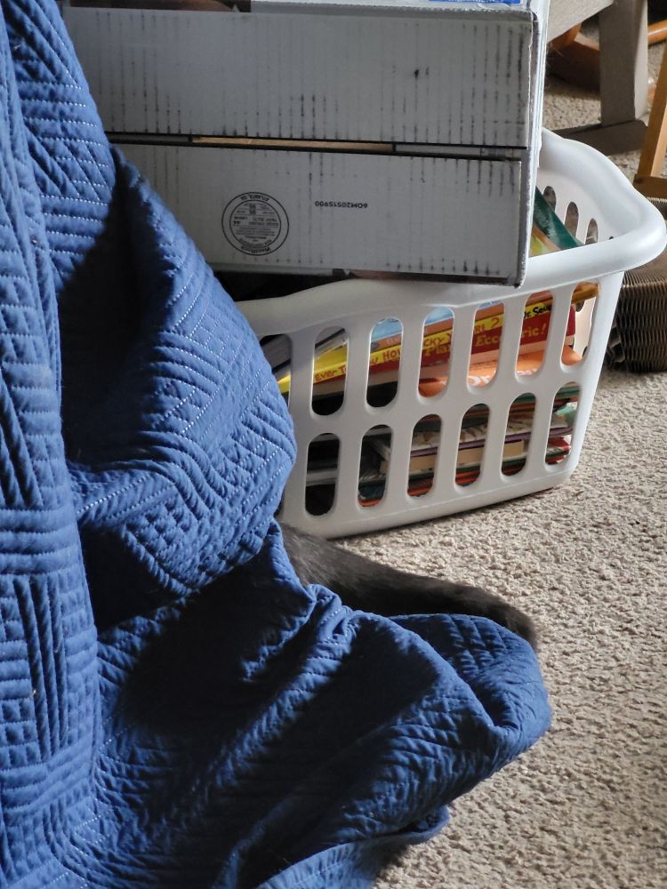 There is a crate fully covered by a navy blue quilt.  There is a white laundry basket full of children's picture books with a box on its side on top.  Between these two things is a grey cat tail the rest of the cat hidden under the quilt because maintenance is here so he's scared.