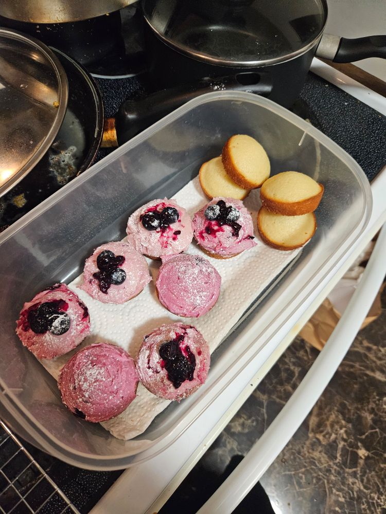 Blueberry cupcakes in a tupperware bin