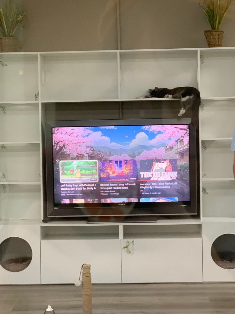 White entertainment shelf with tv in the center and a cat lounging on a shelf 