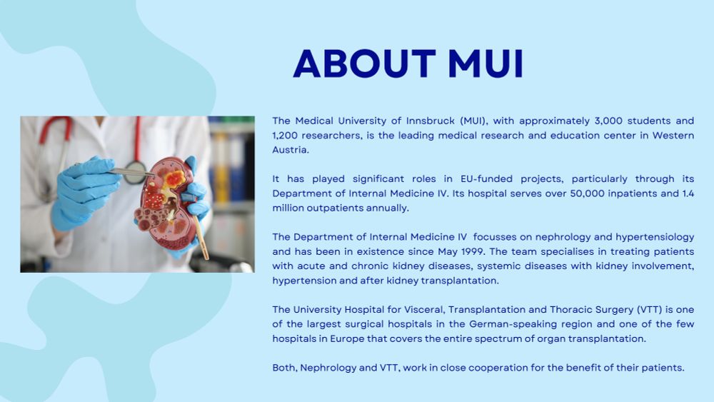A person in blue gloves and a white coat holding a medical model of a kidney, using a metal pointer to highlight anatomical details. Accompanying text provides an overview of the Medical University of Innsbruck, its research focus, and contributions to nephrology and transplantation