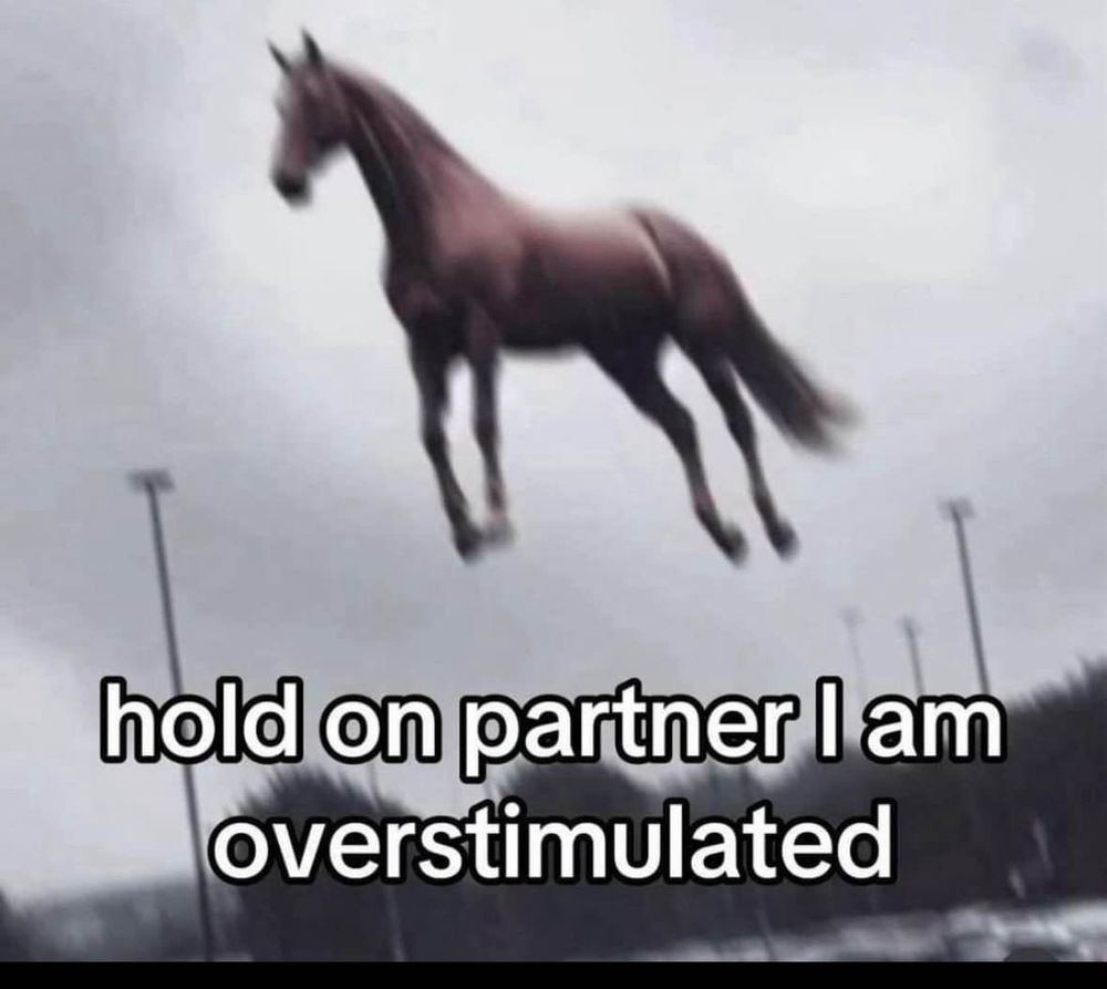Horse floating in the air 