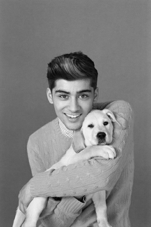 Zayn Malik at 18 years old, smiling and holding a golden retriever puppy while posing for a portrait.